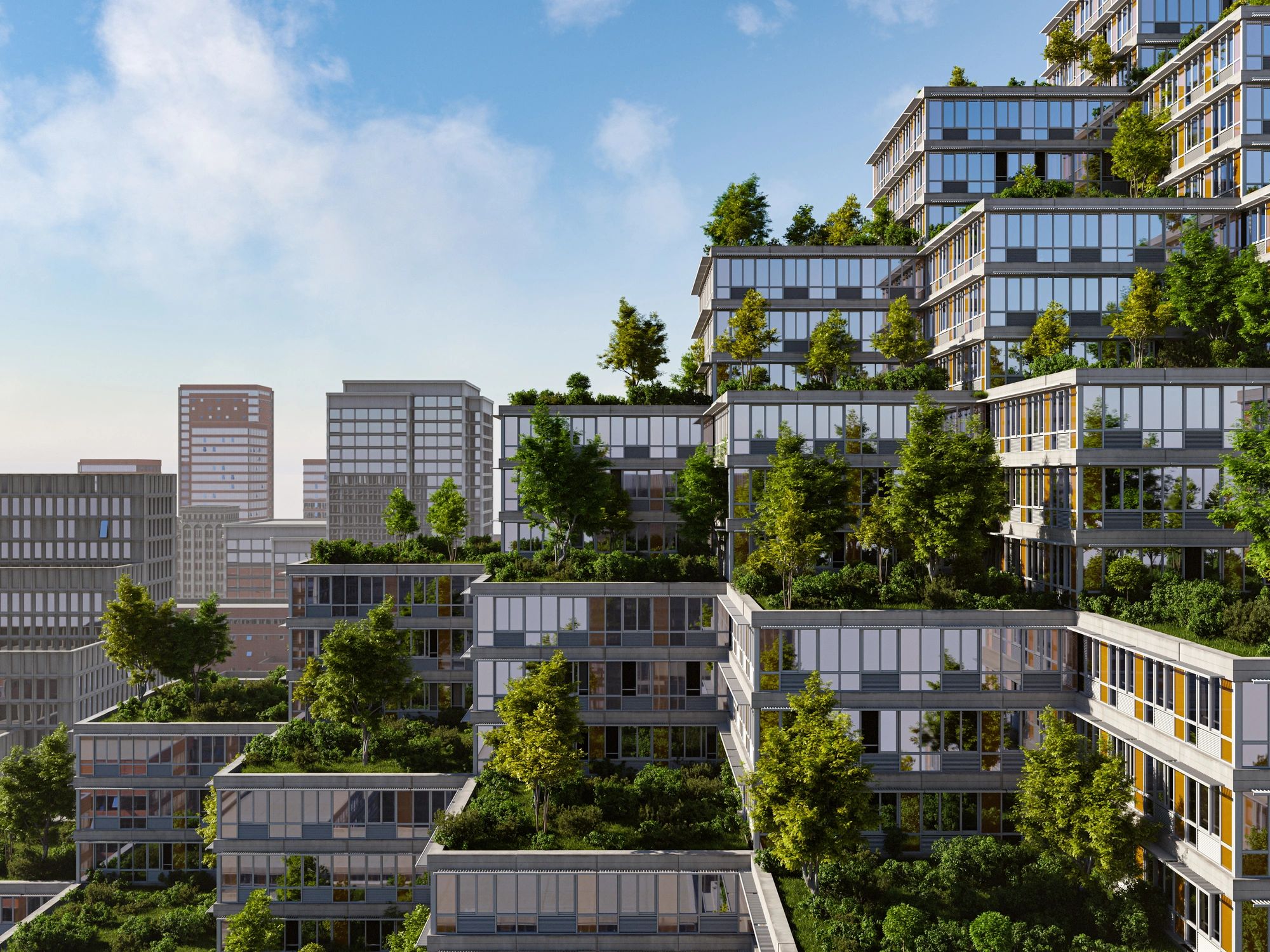 amenity access pass modern condominium